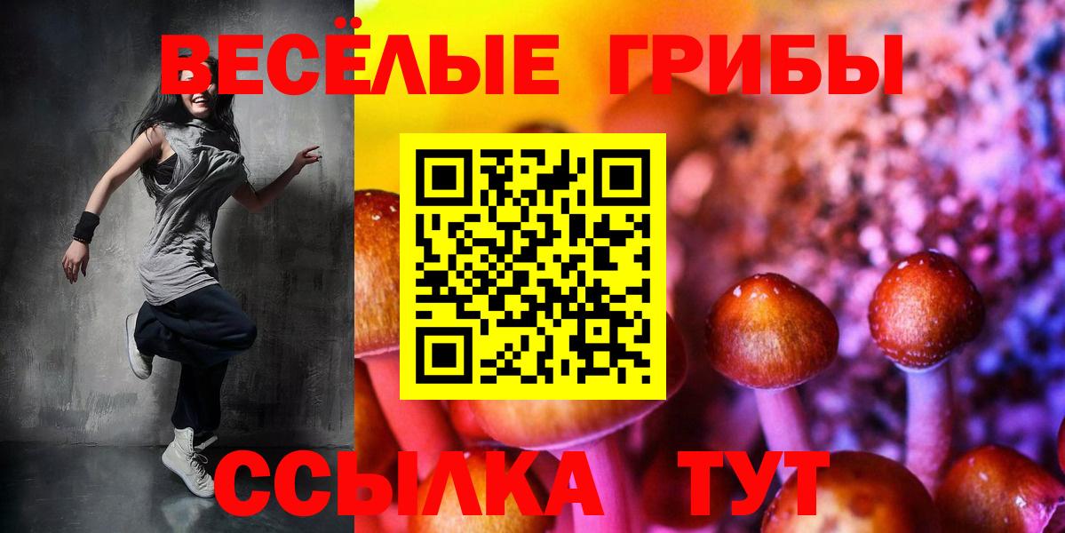 Псилоцибиновые грибы мицелий Кудымкар
