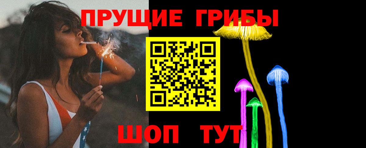 дарнет шоп  Галлюциногенные грибы GOLDEN TEACHER  Вход с VPN  Кудымкар 
